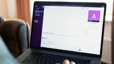 digital identity overview document