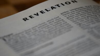 rimobiji profile revealed