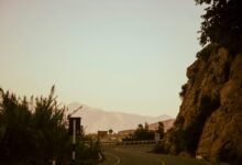 unconventional journey ahead awaits