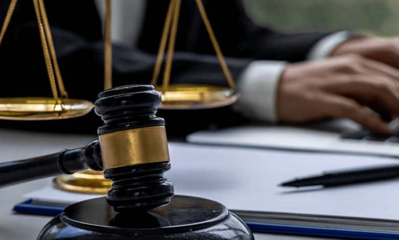 Immigration Services in the USA: A Complete Guide for 2025