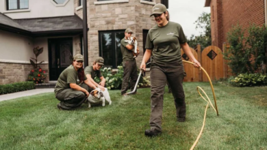 Lawn Care Services Oakville Expert Tips for a Healthy, Green Yard