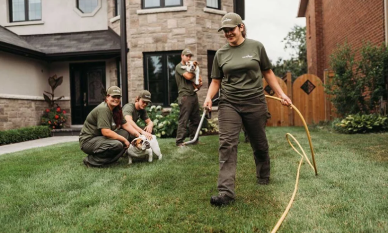 Lawn Care Services Oakville Expert Tips for a Healthy, Green Yard