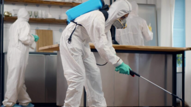 Home Pest Control Services Vancouver: Effective Solutions for a Pest-Free Home