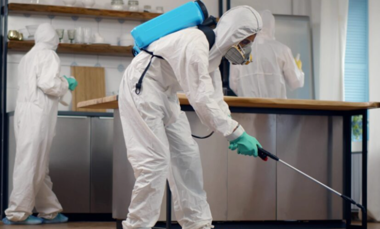 Home Pest Control Services Vancouver: Effective Solutions for a Pest-Free Home