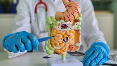 Understanding the Components of an Intravenous System