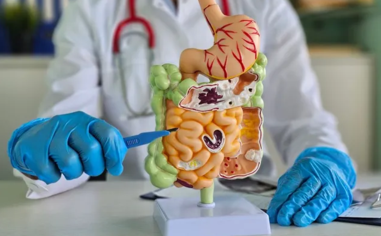 Understanding the Components of an Intravenous System