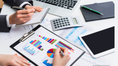 How to Scale Your Business with the Help of Outsourced Accounting Services