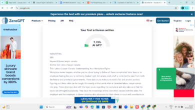 Labour Lawyer Canada: Understanding Your Workplace Rights