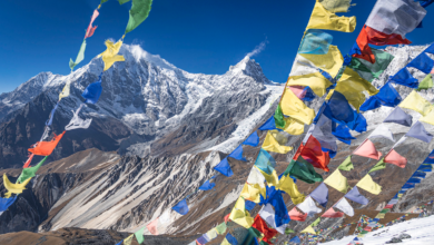 Yala Peak Climbing vs. Island Peak Climbing: Which is Better?