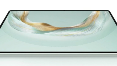 Are Tablets the Future of Portable Video Entertainment?