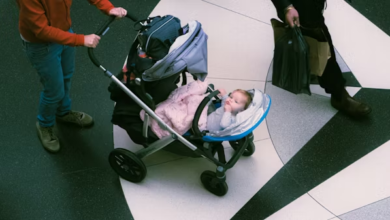 How the Baby Stroller Market Works: Data Insights for Buyers