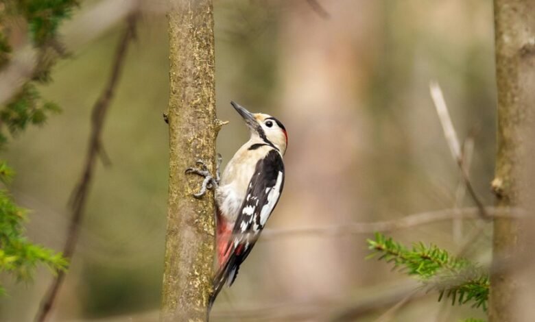 analyze call pattern closely