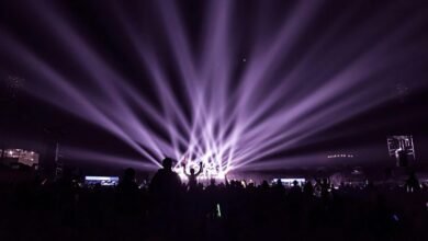 audience maximizer traffic prism