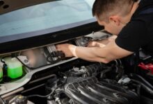 background check and alerts