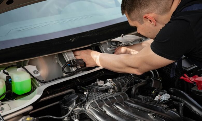 background check and alerts