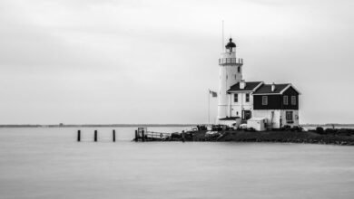 brand builder success lighthouse