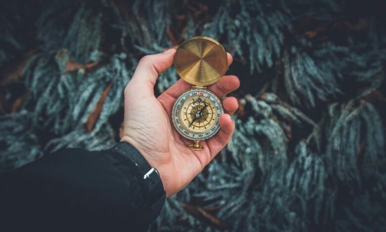 branding success compass