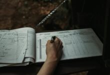 digital activity and alerts