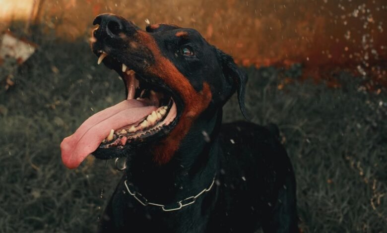 digital tracking and alerts