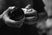 ip activity reports overview