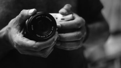 ip activity reports overview