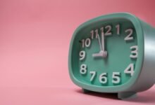 neural vector apex edge