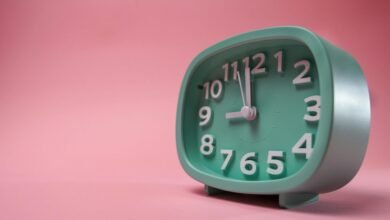 neural vector apex edge