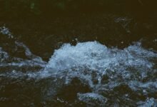 omega stream momentum 659127930