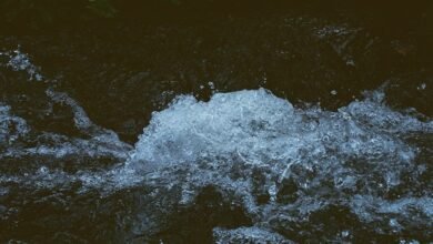 omega stream momentum 659127930