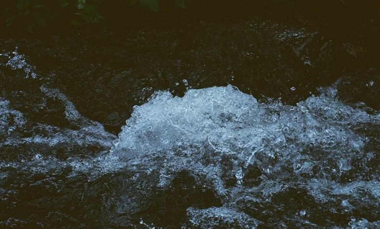 omega stream momentum 659127930