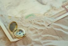 seo pathfinder marketing apex