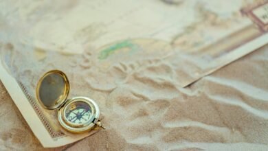 seo pathfinder marketing apex