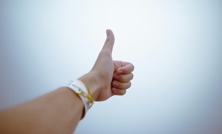 success lighthouse ranking optimizer