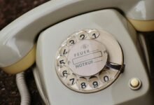 data portal reliable phone lookup