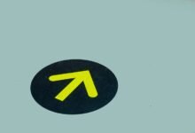 signal guide for trusted contact search