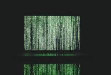 signal matrix identifiers guiding caller intelligence