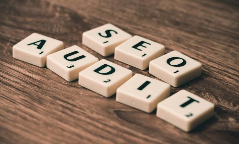 incoming wordpress audit wisestudyspot backlinks