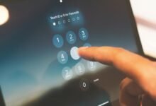 network record check ids and names