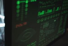 system data identifiers and codes revealed