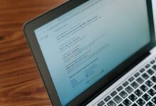 gather four registry search ids