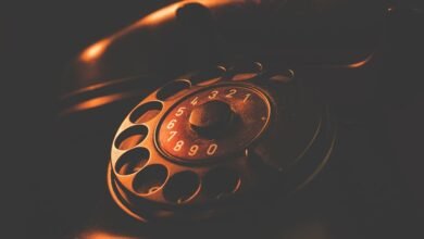 phone numbers search details gathered multiple lookups requested