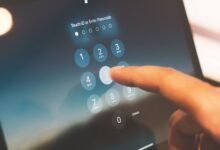 public lookup data for several phone numbers