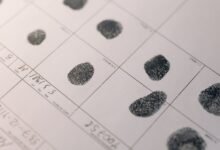 public registry files search terms