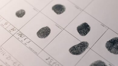 public registry numbers query results