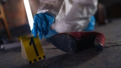 registry evidence ids 3312905336 3297525937 3518855773 3284217790 3290790441