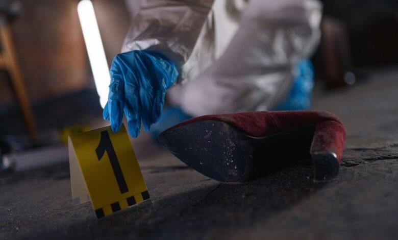 registry evidence ids 3312905336 3297525937 3518855773 3284217790 3290790441