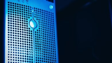 registry lookup for specific ids