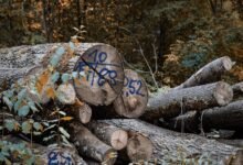 registry references reveal detailed logs