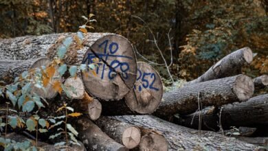 registry references reveal detailed logs