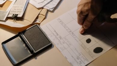 study numbers listed for verification